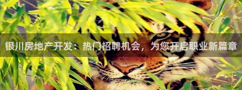 万向娱乐代理好看视频是真的吗