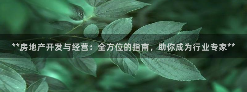 万向娱乐总代