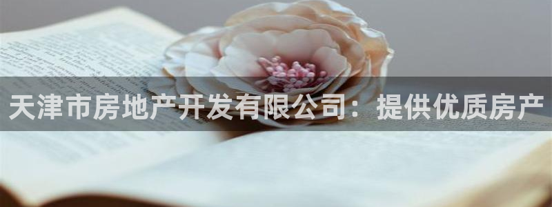 万象游戏代理