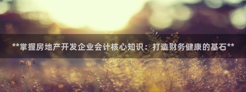 万象游戏代理