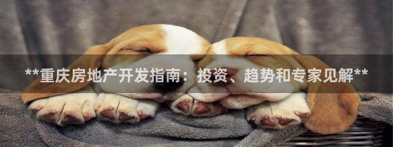 万向娱乐官网下载安装苹果