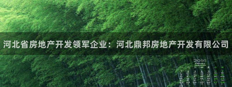 万向娱乐平台代理