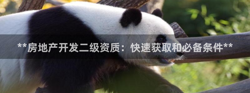 万向娱乐是哪个旗下
