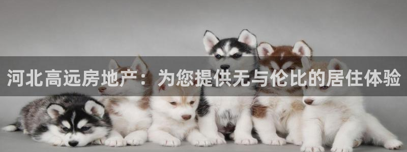 万向娱乐平台代理怎么样