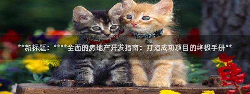 万向娱乐登陆