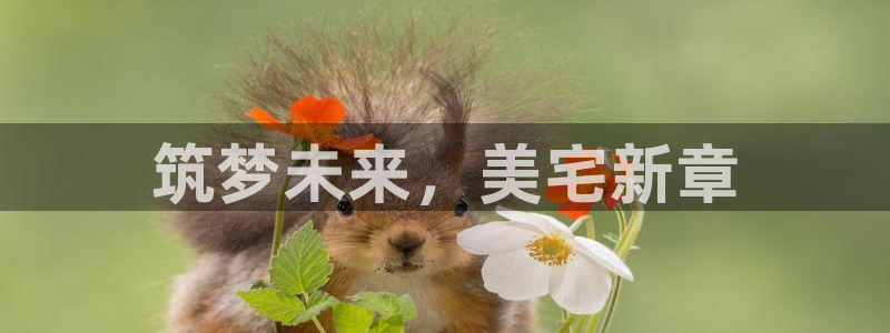 万向娱乐招商