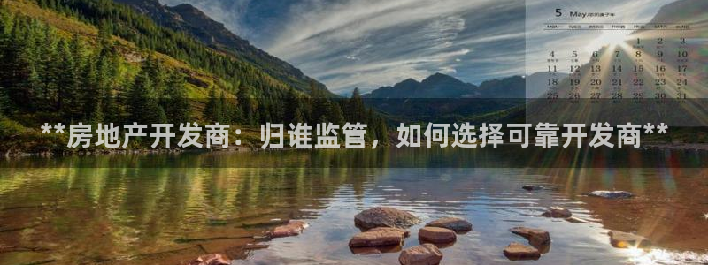 万向娱乐是野鸡台吗