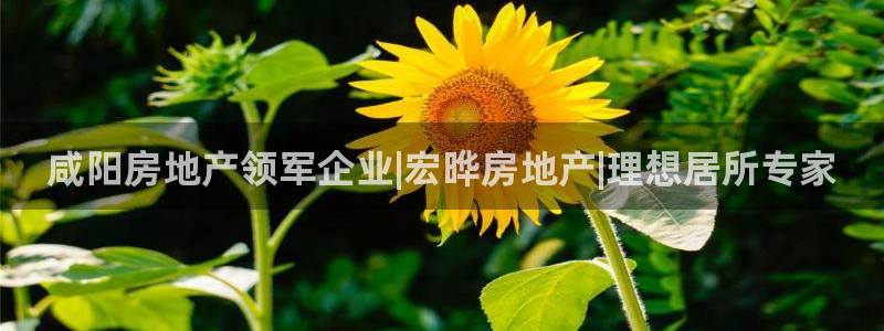 万向娱乐平台代理多少钱一个