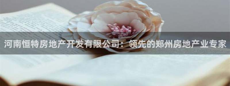 万向娱乐平台代理怎么样啊