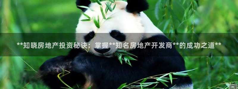 万向娱乐挂机软件