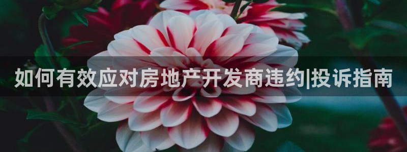万向娱乐代理好看视频
