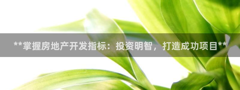 万象国际娱乐网址