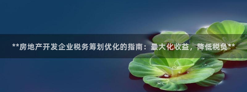万向娱乐登陆官网