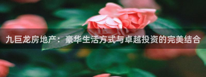 万向娱乐官网网址