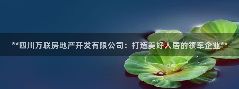 万向娱乐代理好看视频