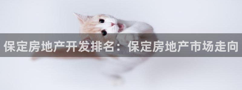 万向娱乐平台代理怎么做的