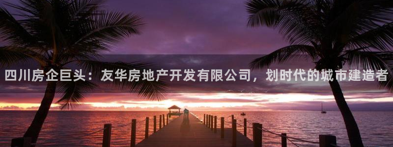 万向娱乐老板