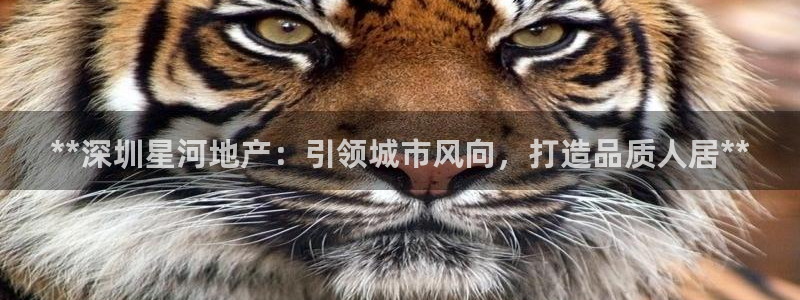 万向娱乐公司官网首页