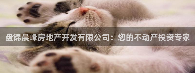 万象国际娱乐网址