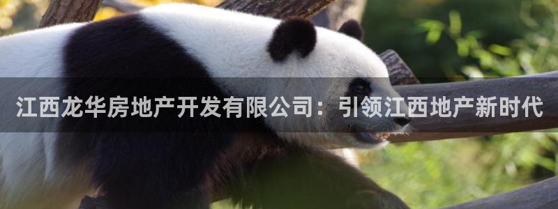 万向娱乐平台代理怎么样啊