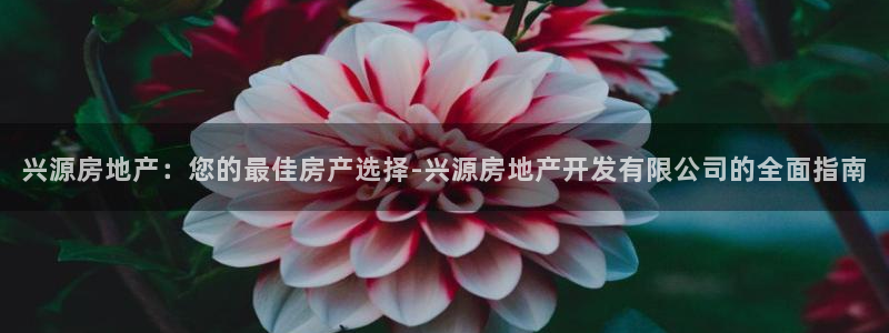万向娱乐总代