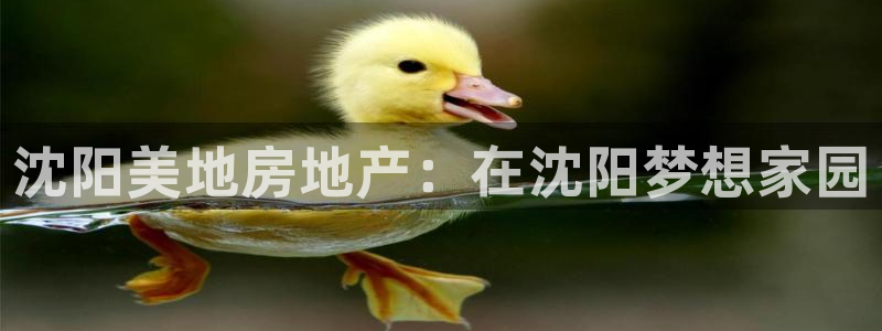 万向娱乐app