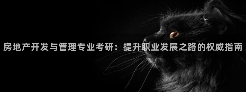 万向娱乐老板