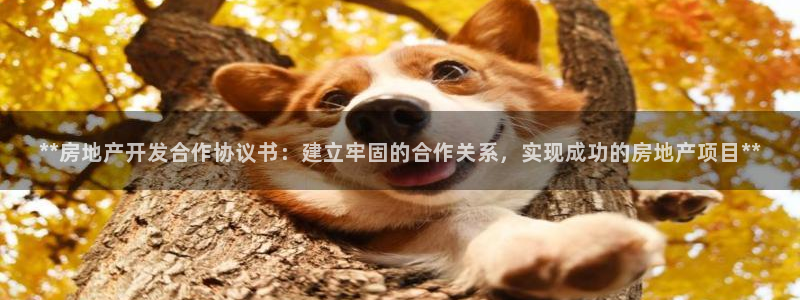 万向娱乐平台代理多少钱一个