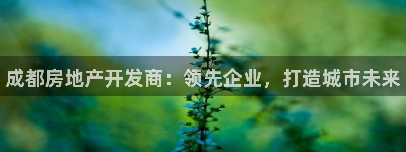 万向娱乐平台代理怎么做的