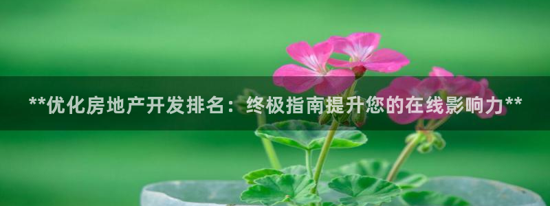 万向娱乐平台代理怎么样啊