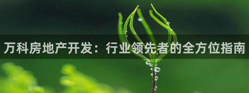 万向娱乐平台怎么下载