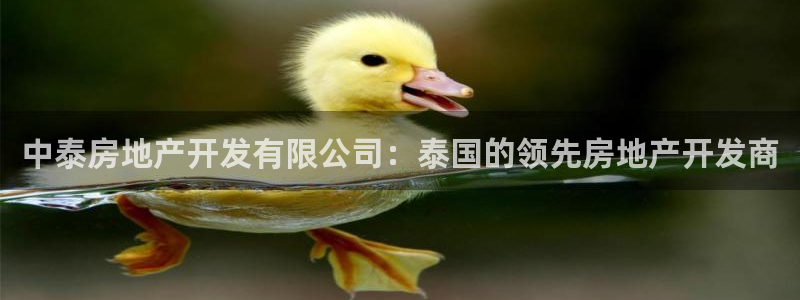 万向娱乐平台下载安装