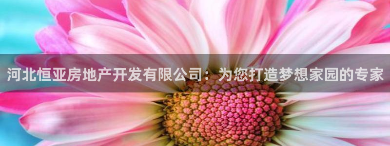 万向娱乐挂机