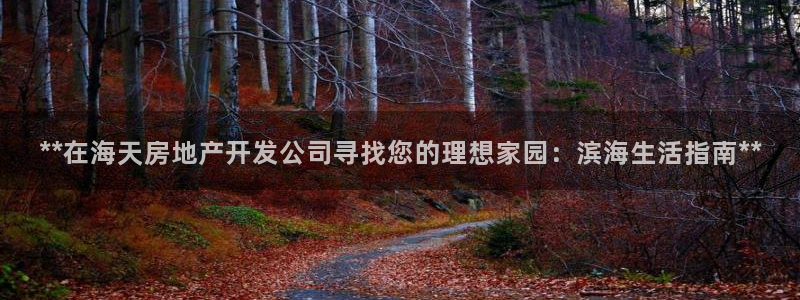 万向娱乐官网网址是什么