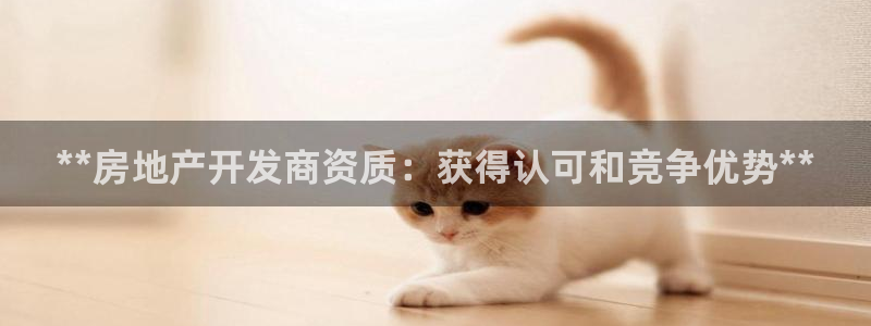 万向娱乐官网网址是什么