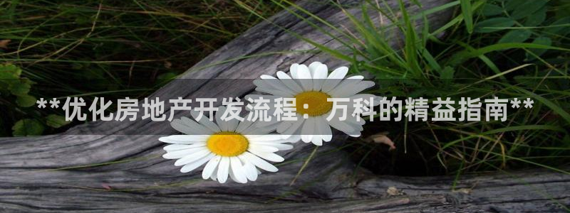 万向娱乐官网网址是多少