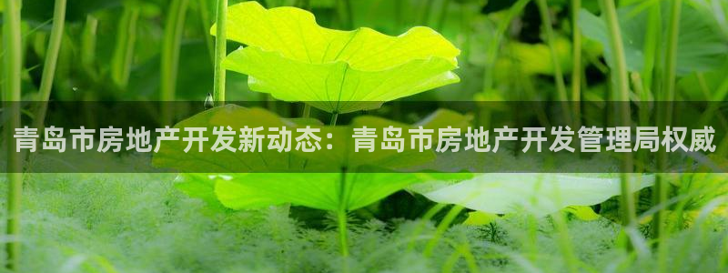 万向娱乐平台代理怎么做赚钱