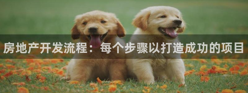 万向娱乐公司官网首页