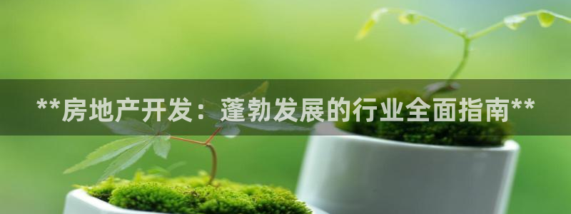 万向娱乐平台代理怎么做赚钱