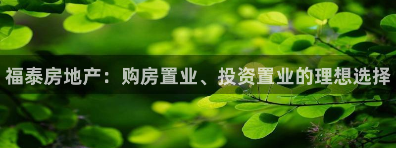 万向娱乐官网网址是什么