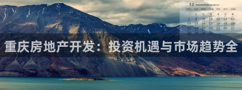万向娱乐老板
