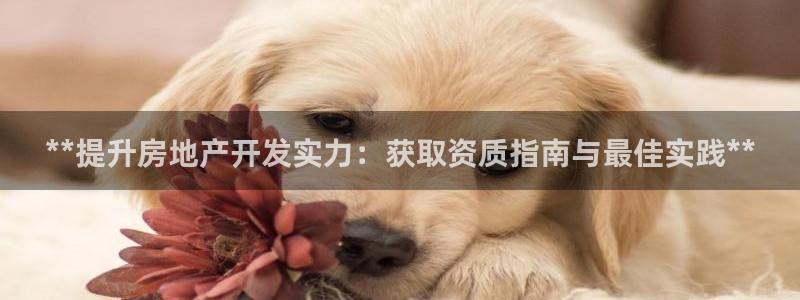 万向娱乐平台招商骗局