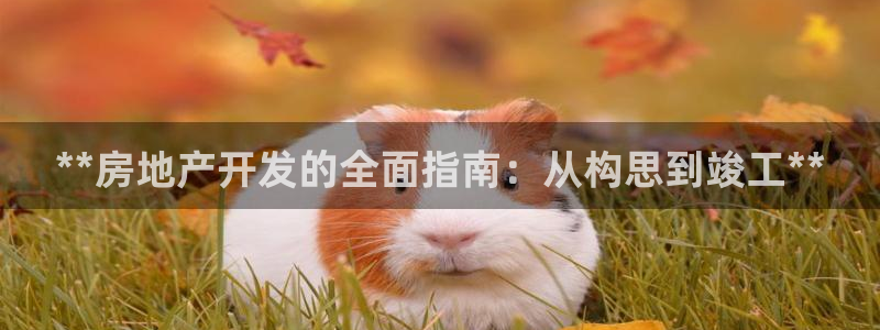 万向娱乐app下载