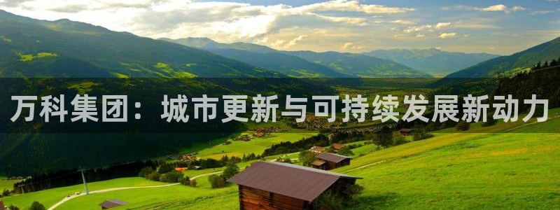 万向娱乐是野鸡台吗