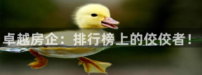 万向娱乐是哪个旗下