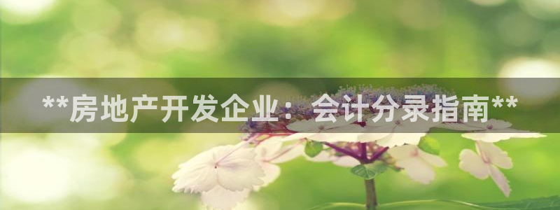 万向娱乐平台代理多少钱一个月