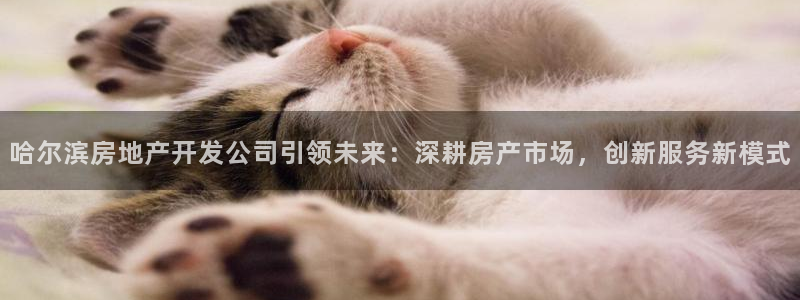 万向娱乐下载
