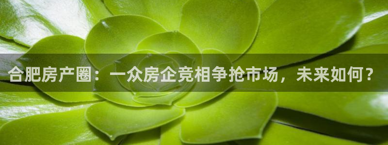 万向娱乐灯333OO