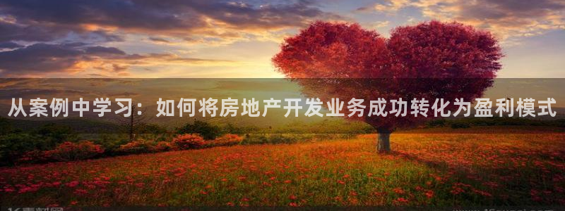 万向娱乐官网网址是什么