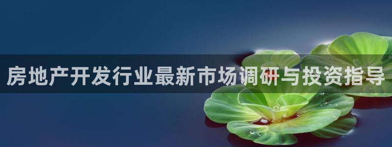 万向娱乐平台代理多少钱